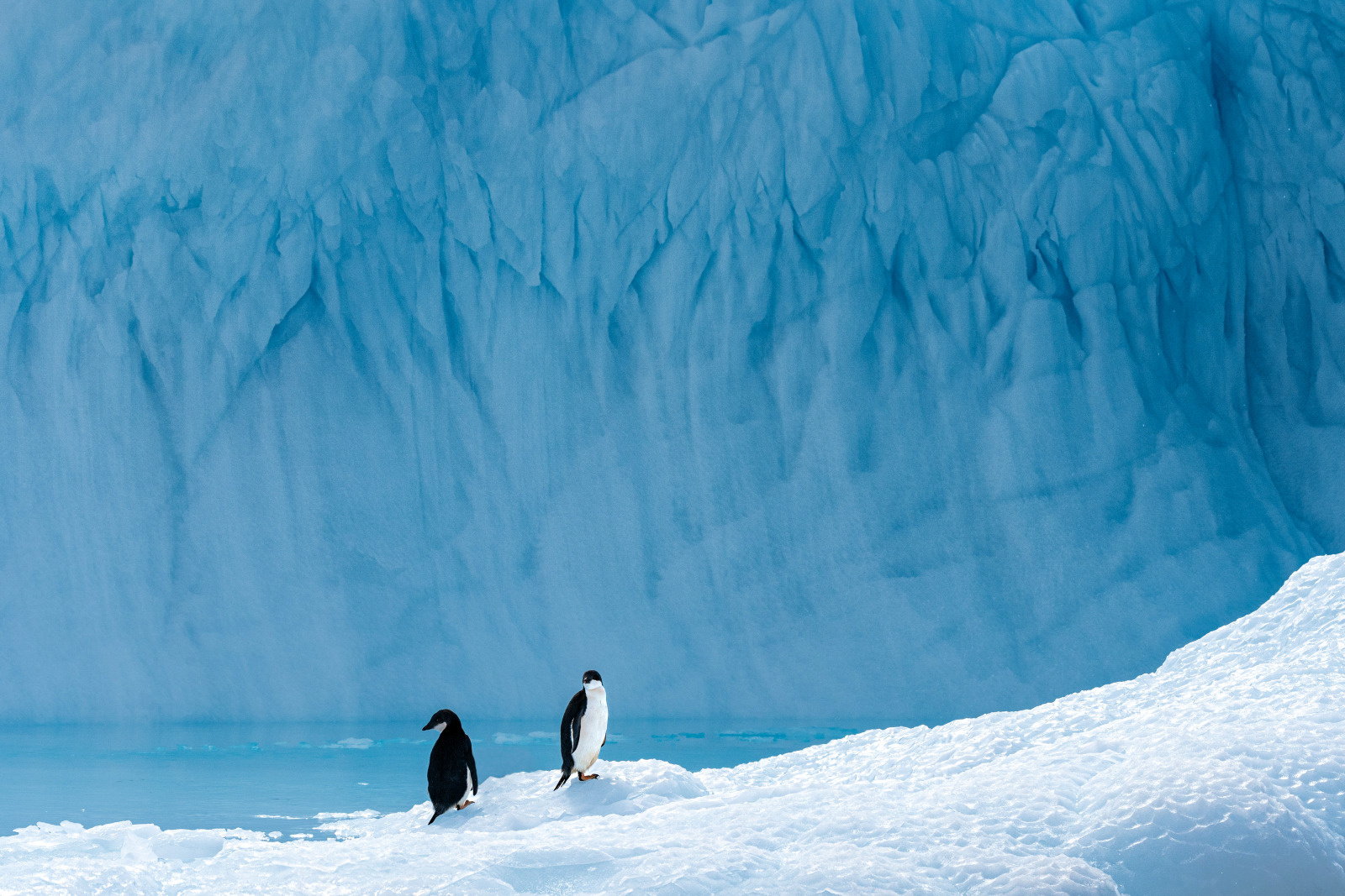 Antarctica